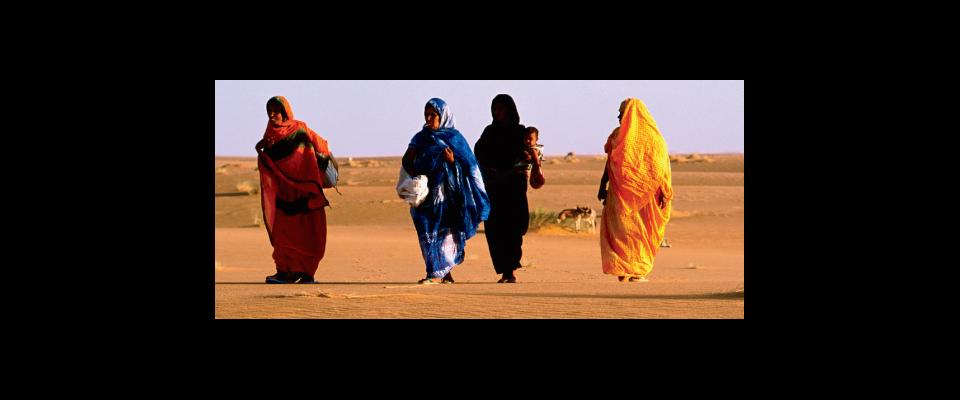 photograph of people walking in the desert