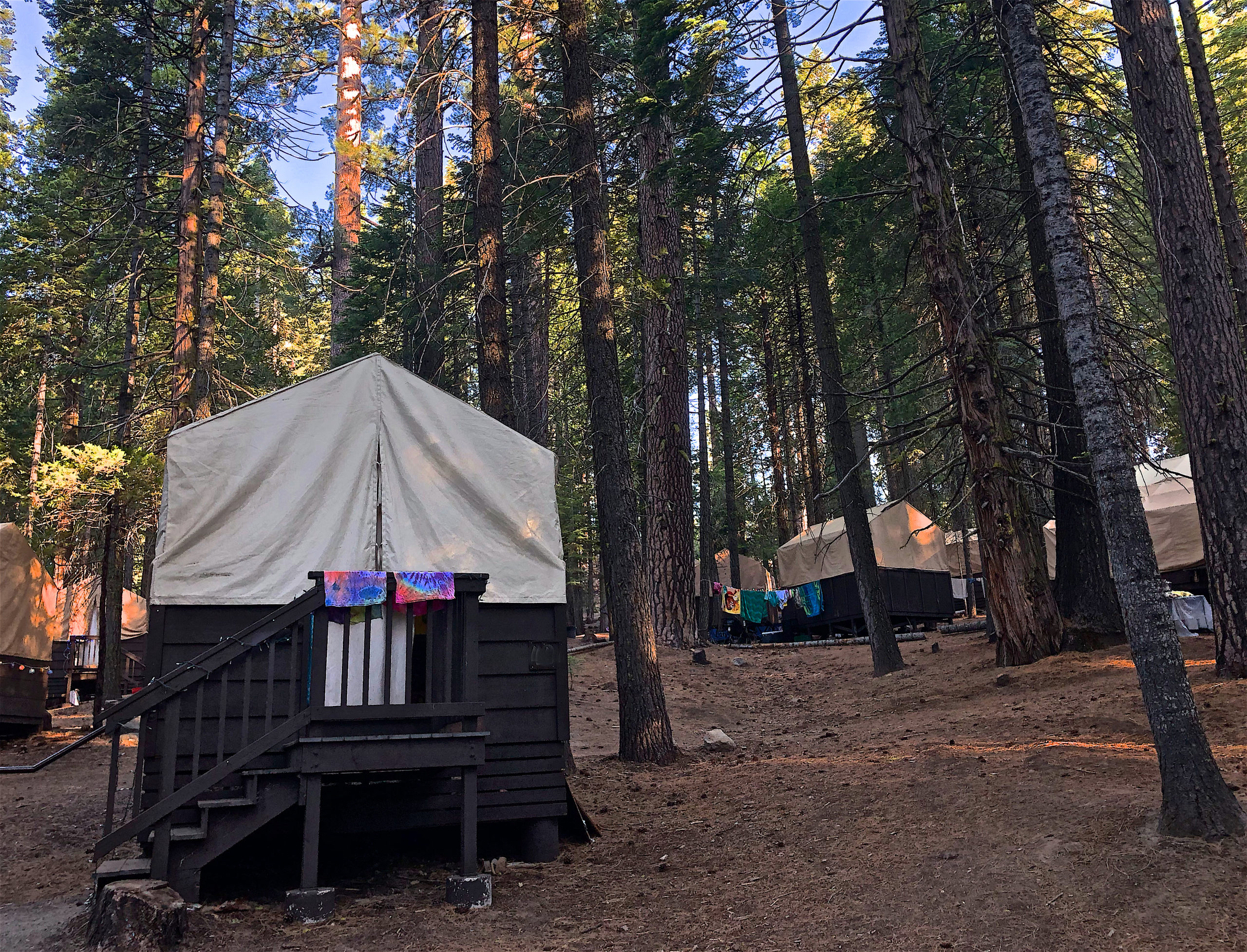 A tent at the Lair of the Golden Bear among the trees on a sunny day.