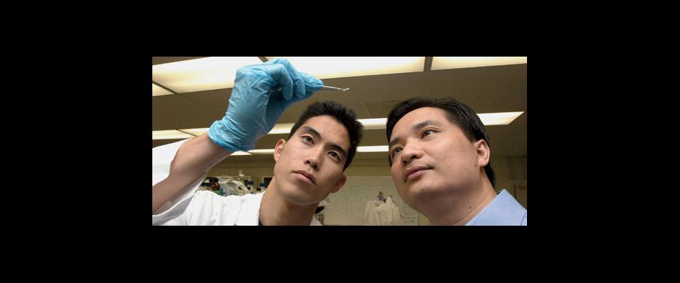 two scientists looking at a nanochip
