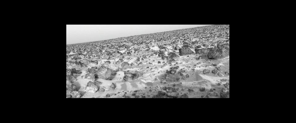 black and white photograph of the surface of Mars