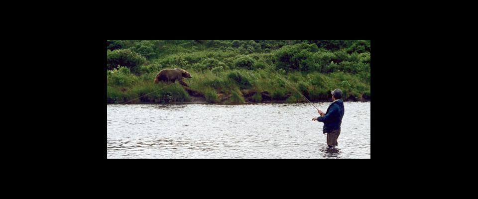 photograph of a Kodiak bear and a fisherman on a river