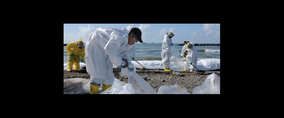 people cleaning up a beach after an oil spill