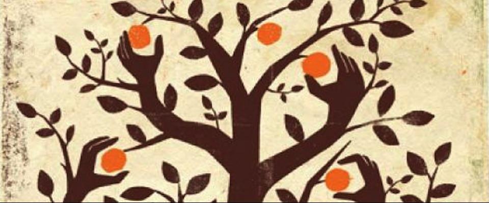 artist's depiction of an orange tree