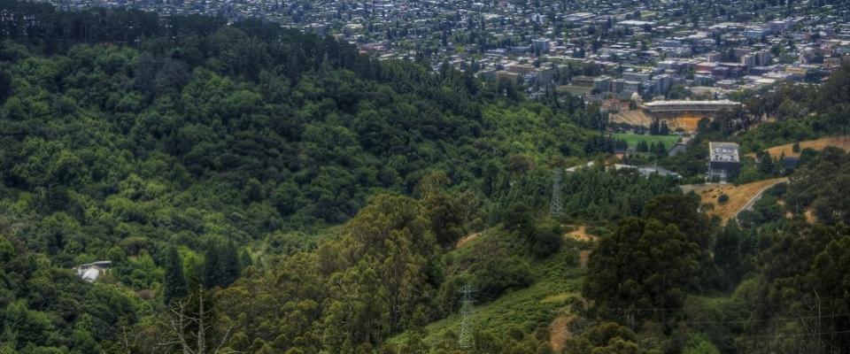 Berkeley hills