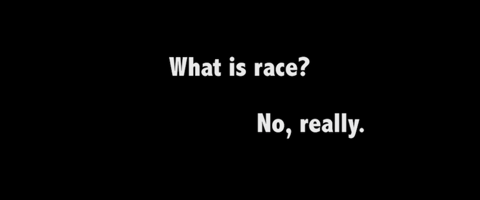 Image asking what is race