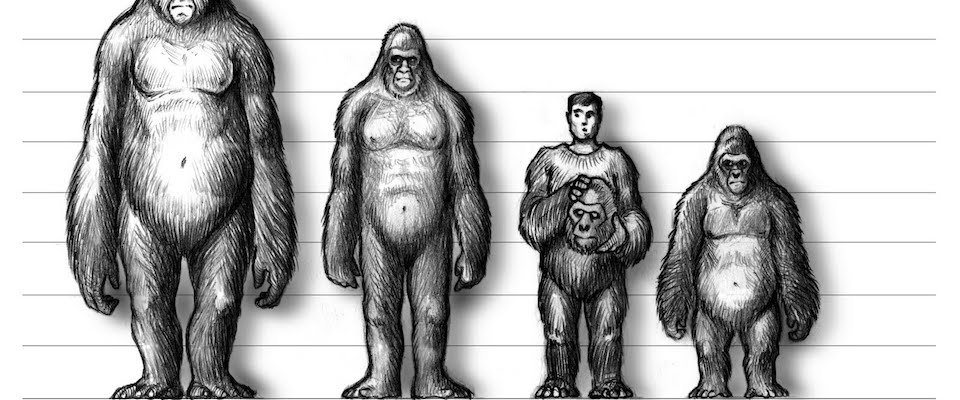 gigantopithecus vs bigfoot