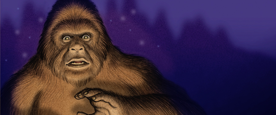 Using big data to search for Bigfoot