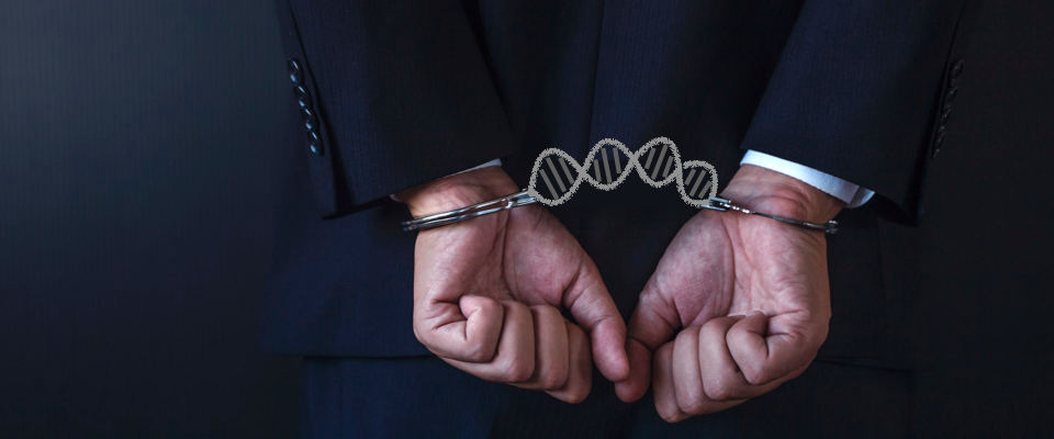 Someone being handcuffed with DNA