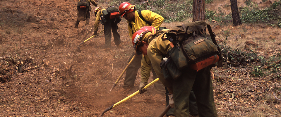 Firefighters building a fire line