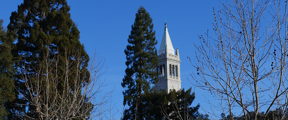 berkeley campanile and trees