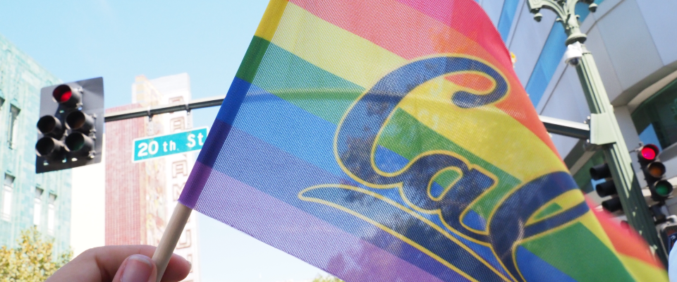 Cal Pride flag
