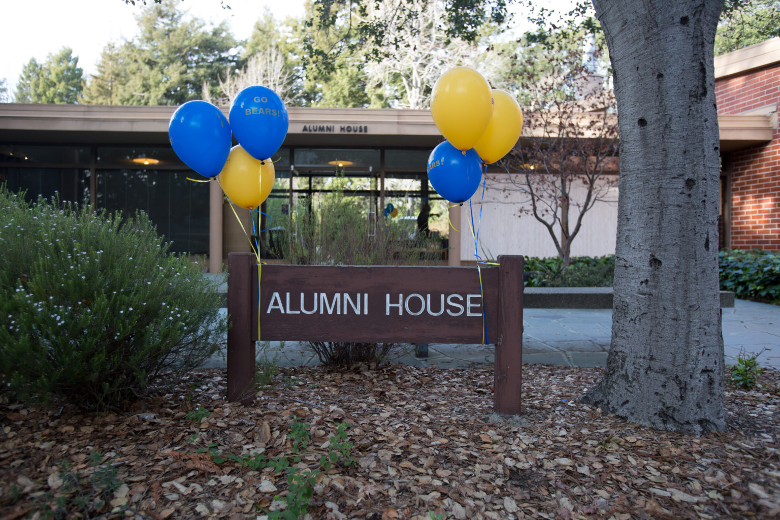 California Alumni Association Hoops Party at Alumni House