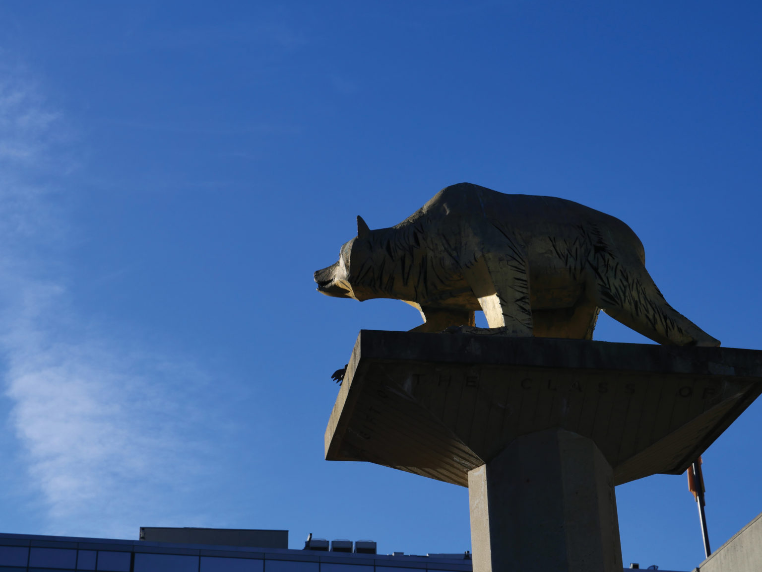 Golden Bear Statue set against blue sky