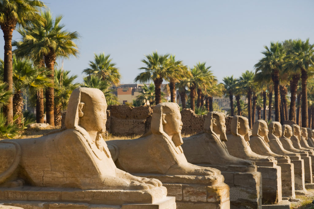 Luxor sphinxes
