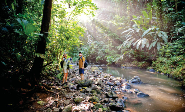 Guests hiking in Corcovado National Park. Costa Rica
