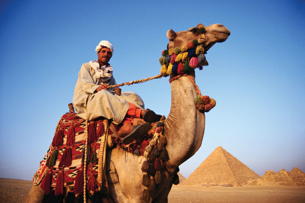 Man on camel