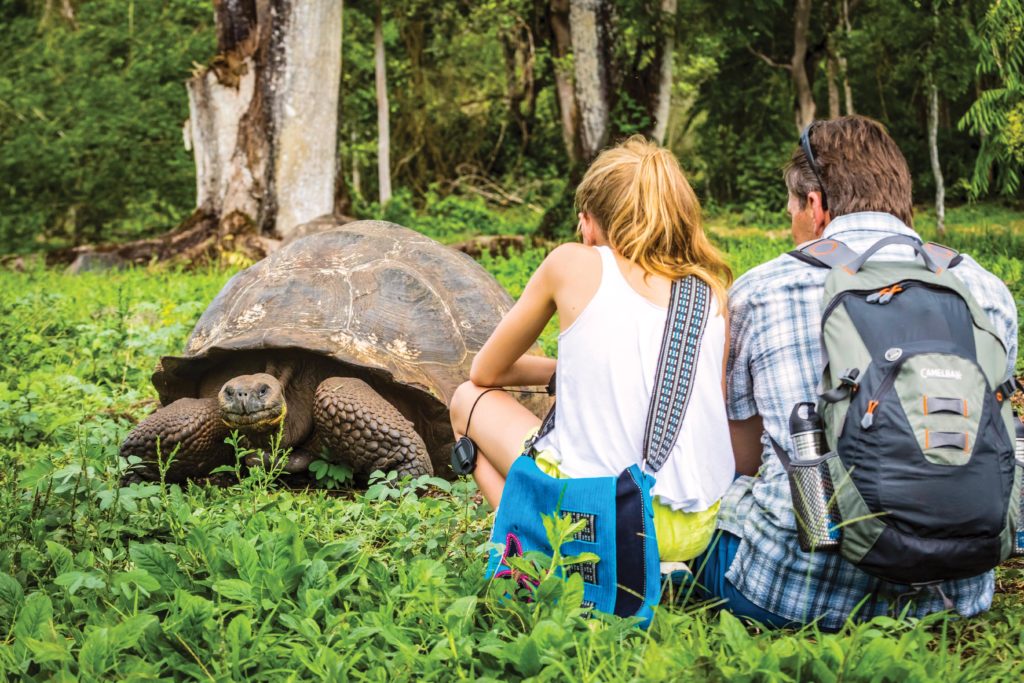 Giant Tortoise next to two travelers on Santa Cruz Island in the Galapagos.