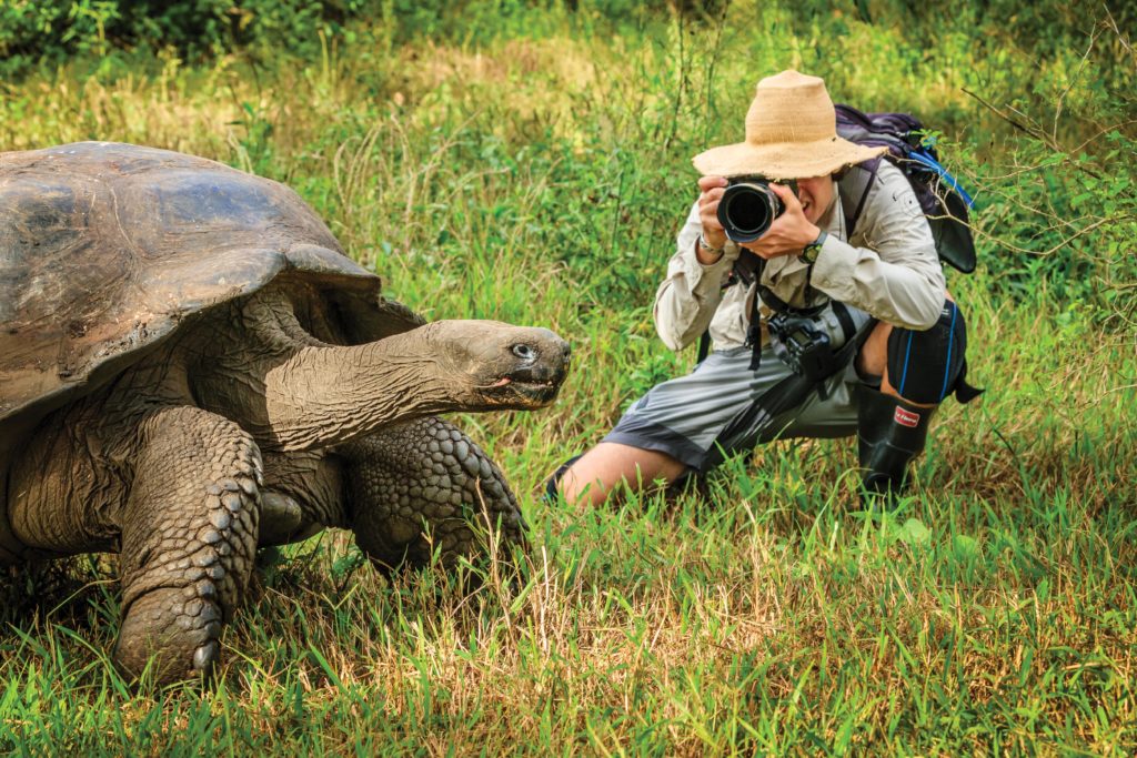 Giant Tortoise next to photographer in Galapagos National Park, Ecuador