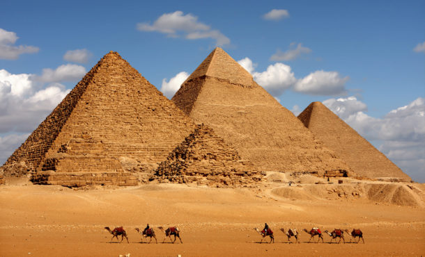 Camels in front of Giza Pyramids