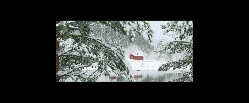 a forrest and barn covered in snow