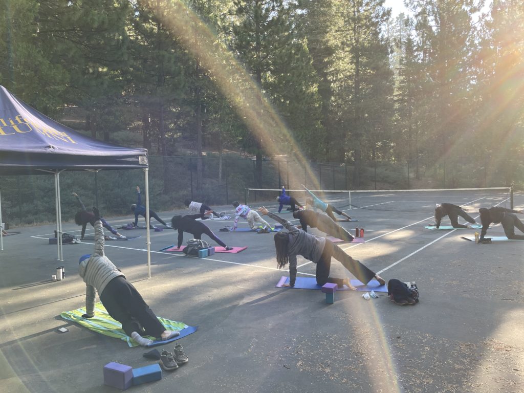 people practicing yoga outside in sunlight