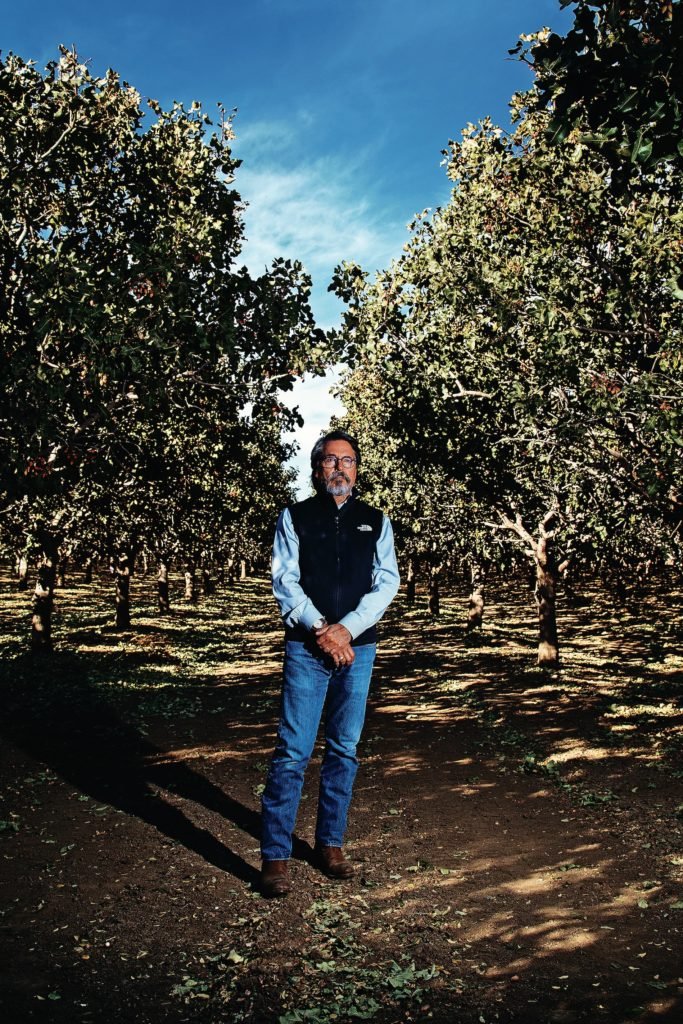 Woolf standing amongst pistachio trees