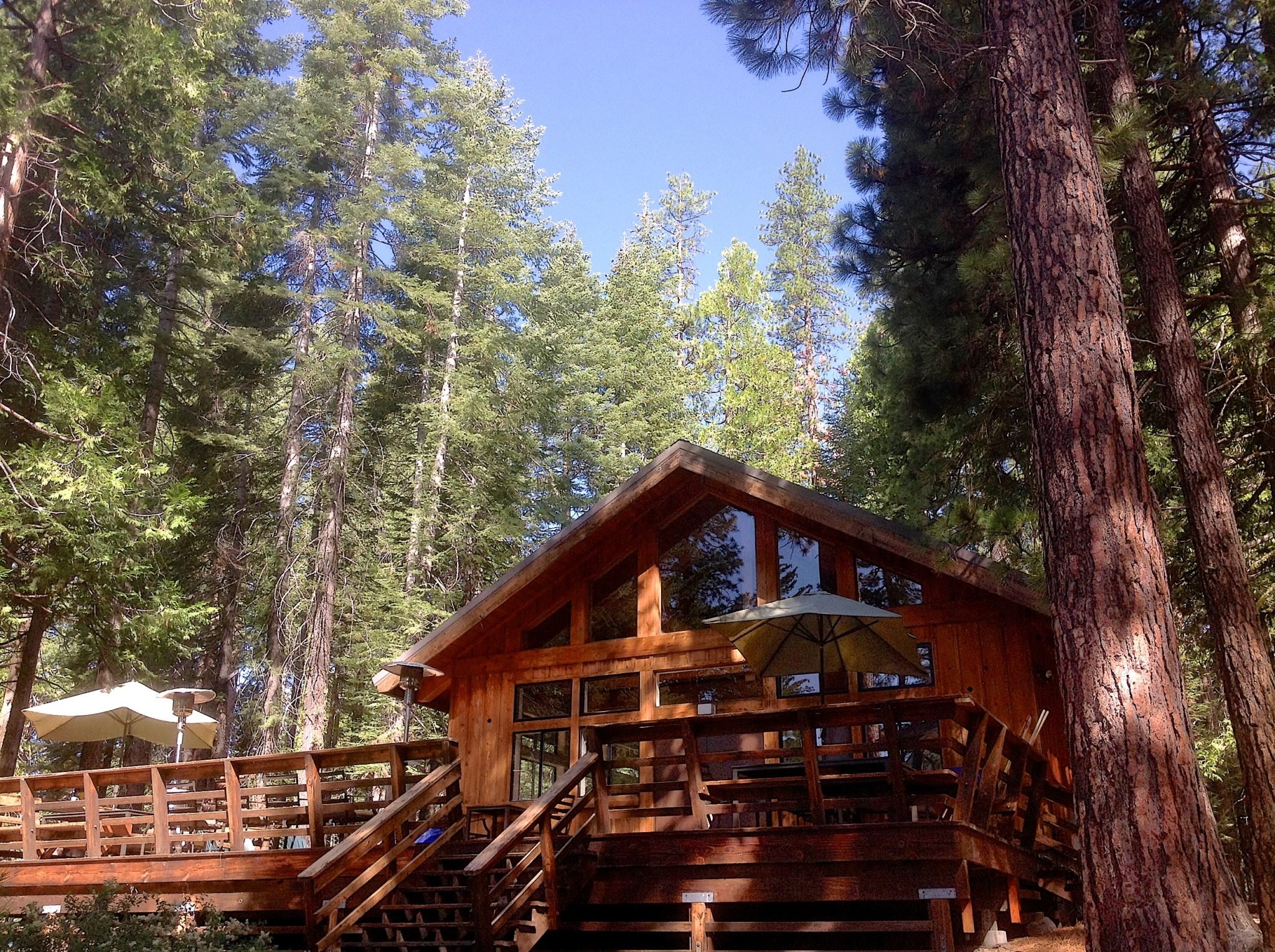 Wide shot of Vista Lodge nestled in the pine trees