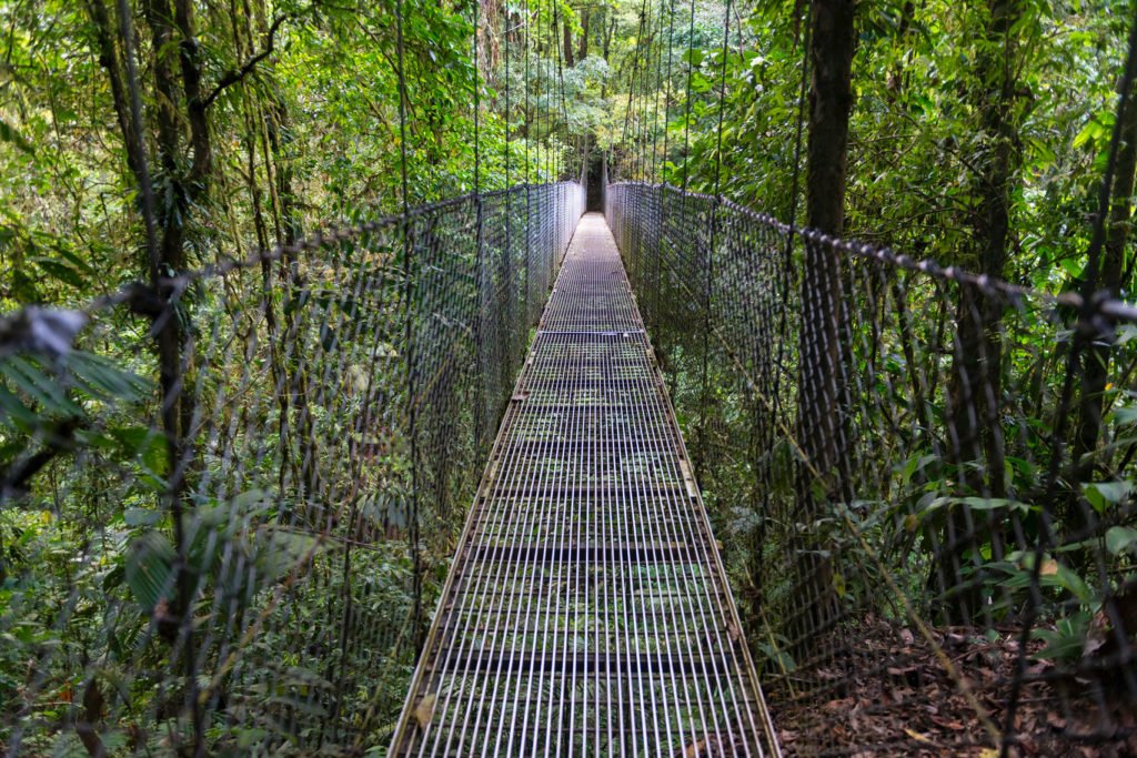 Suspension bridge in the Rainforest, Mistico Arenal suspension bridges Park, Volcan Arenal National Park, Alajuela province, Costa Rica