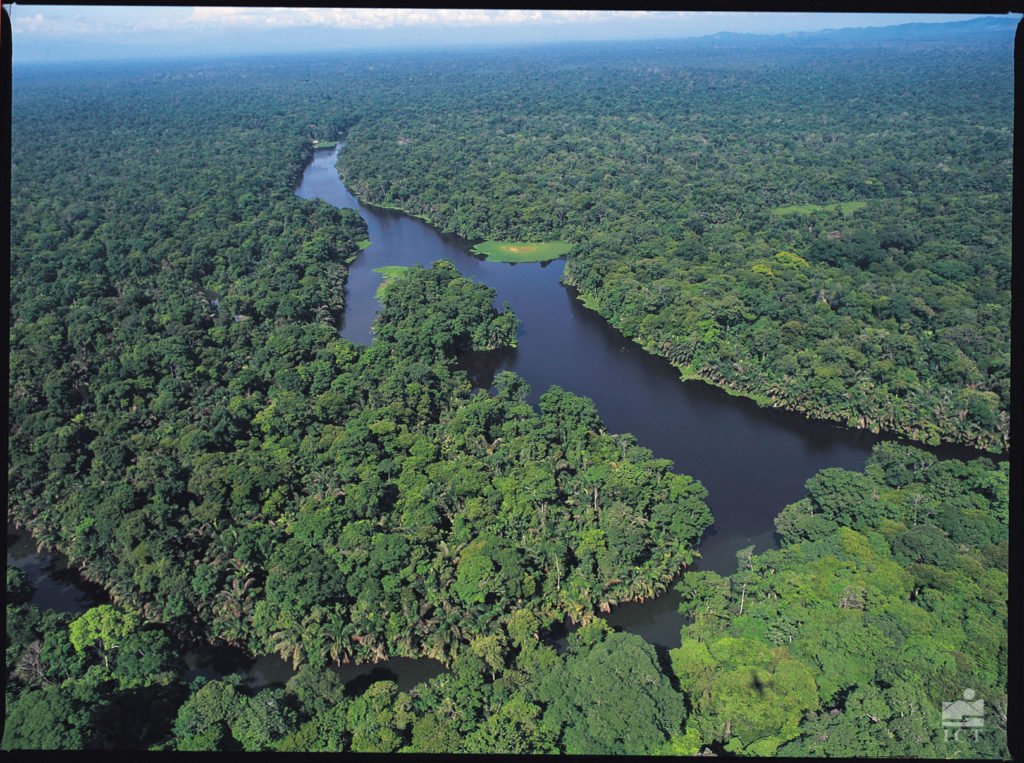 River in Costa Rica forest