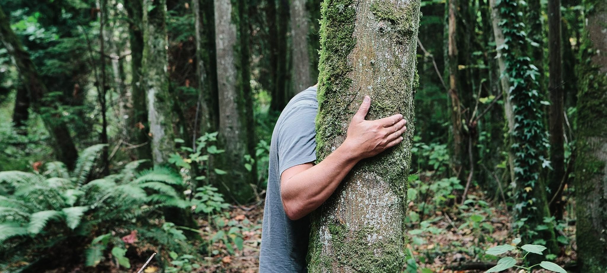 A man's arm hugs a tree