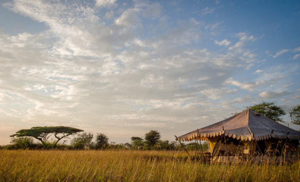 Camp tent in Serengeti