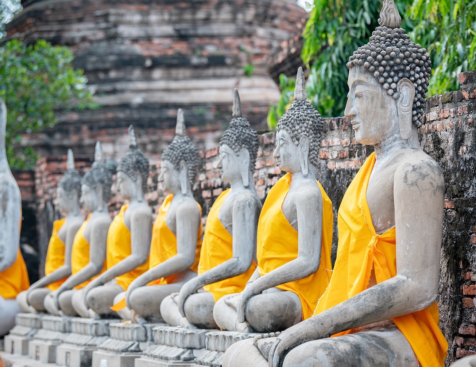 row of statues at Ayuttaya ruins