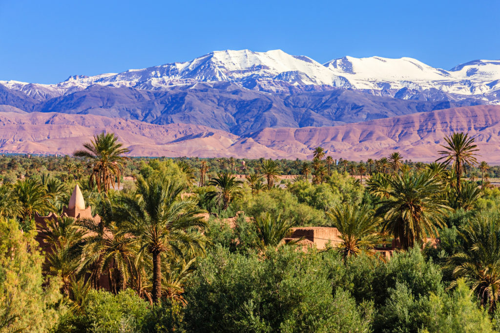 Moroccan oasis and High Atlas mountain range in the background.