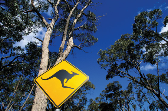 Australia kangaroo sign