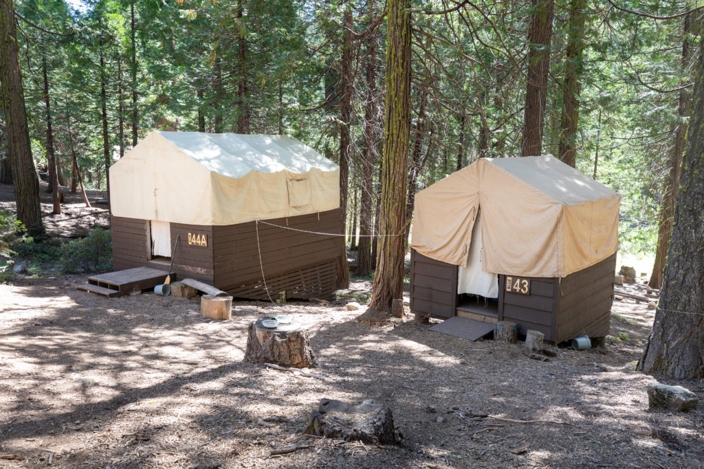 Two cabin structures with canvas tent roofs in a wooded area.