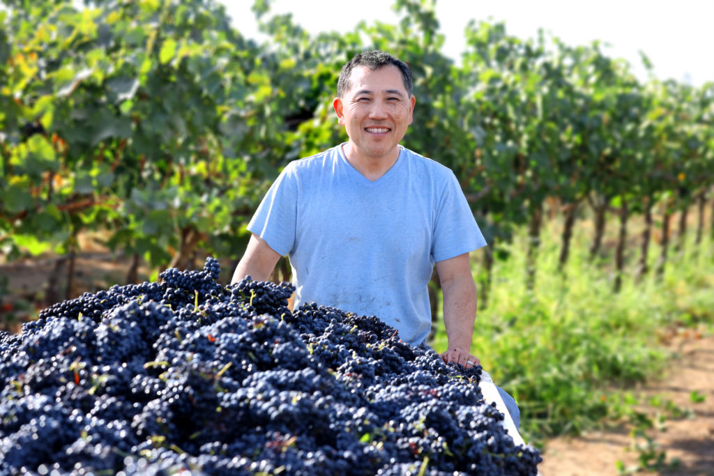 Jason Mikami ’92, MBA, with wine grapes at his family vineyard.