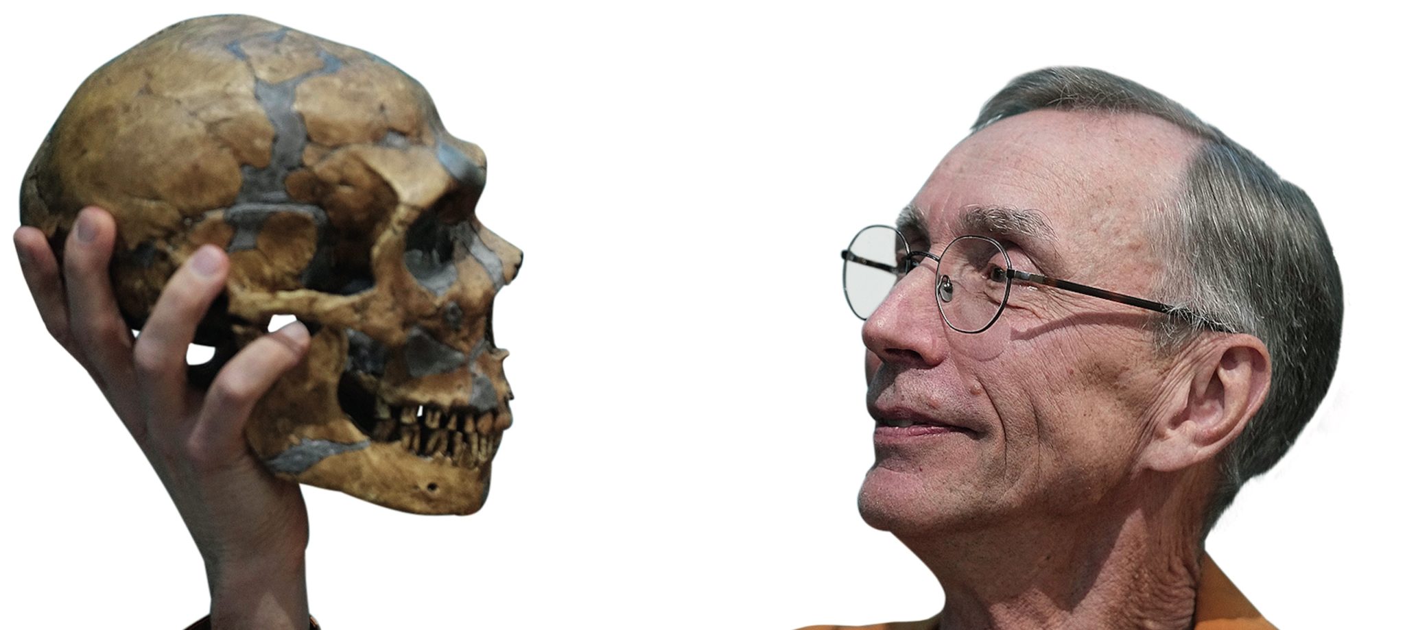 Swedish scientist Svante Paabo poses with a replica of a Neanderthal skeleton at the Max Planck Institute for Evolutionary Anthropology in Leipzig, Germany, Monday, Oct. 3, 2022. Swedish scientist Svante Paabo was awarded the 2022 Nobel Prize in Physiology or Medicine for his discoveries on human evolution.