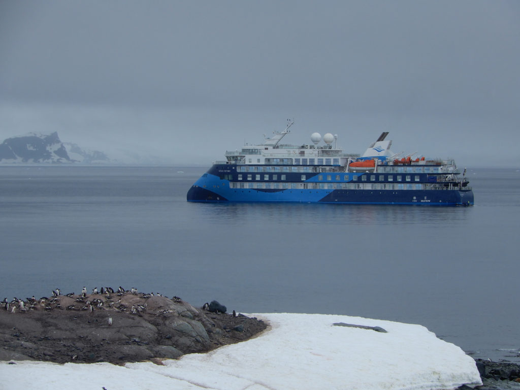 Blue cruise ship on the water under grey sky with penguin colony on the snow