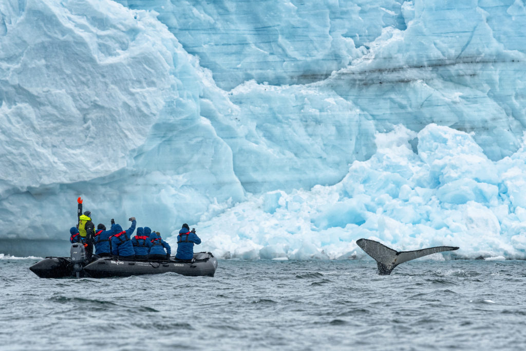 Travelers watch from a zodiac as a whale shows off its fluke