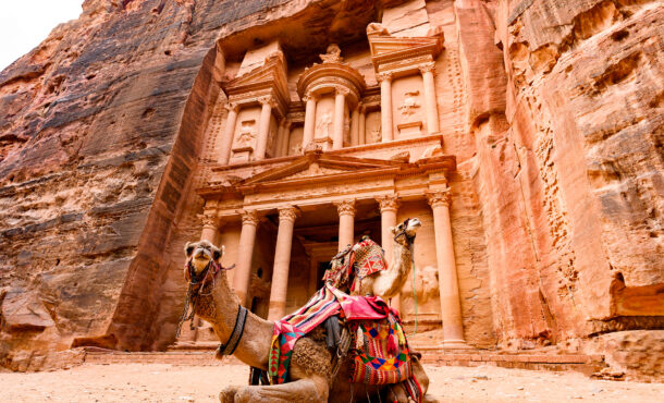 Two beautiful camels in front of the Treasury at Petra.