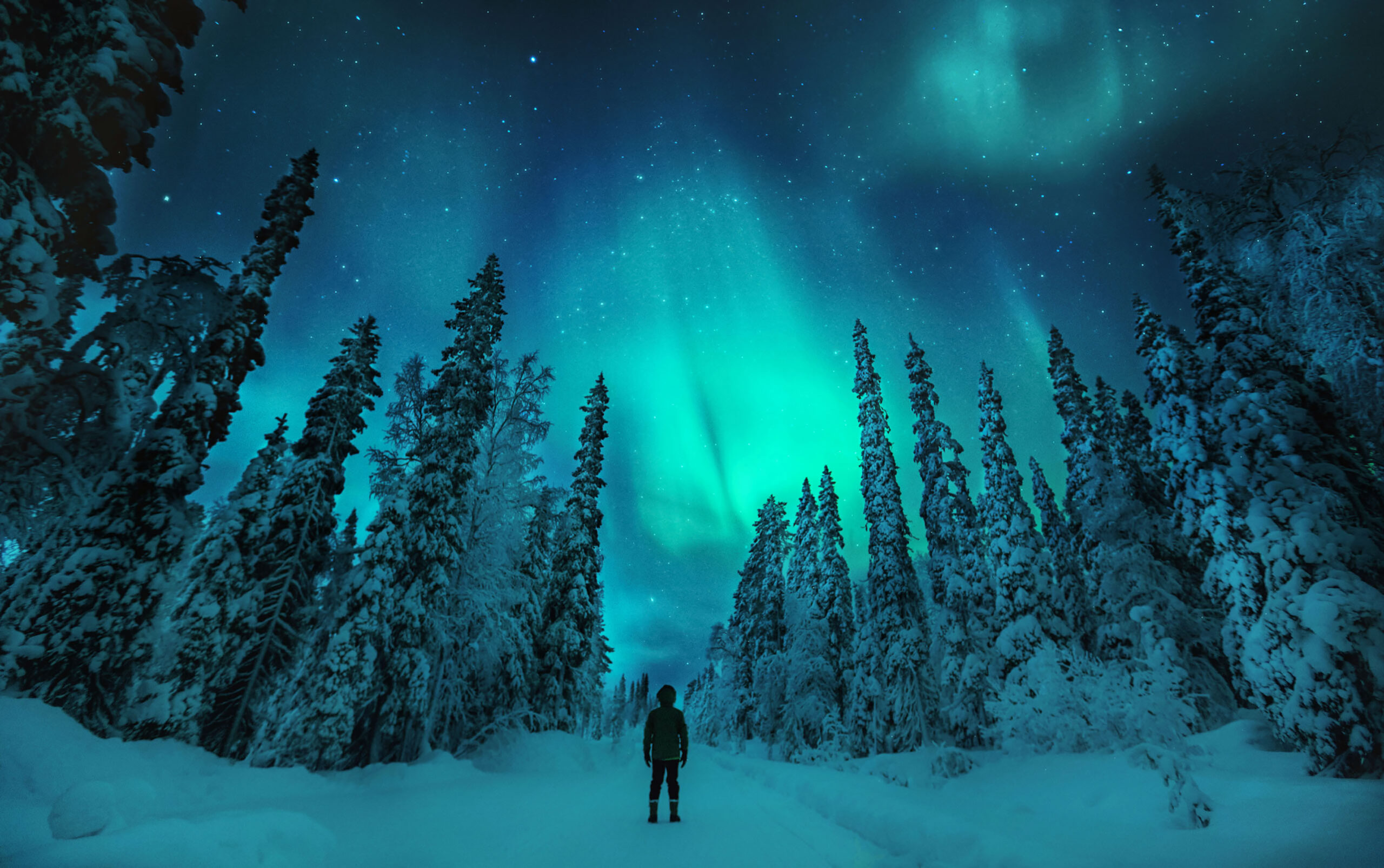 Man watching Aurora borealis