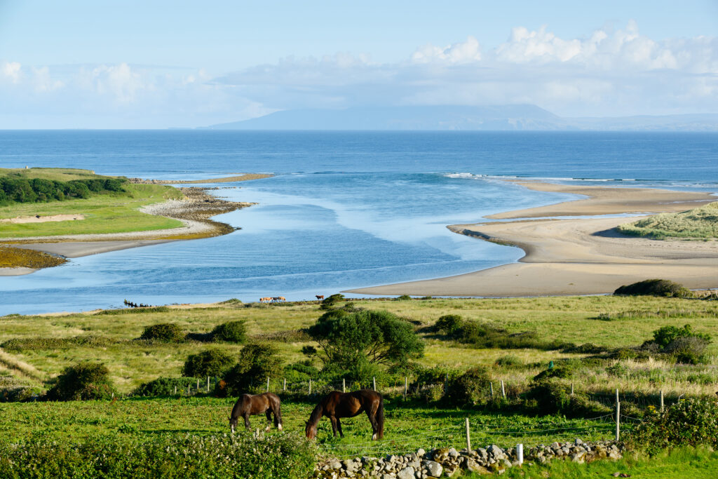 Beautiful landscape with horses in County Sligo