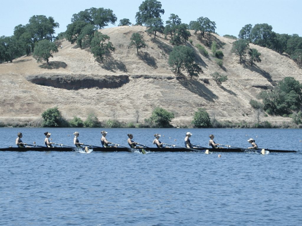 rowers rowing