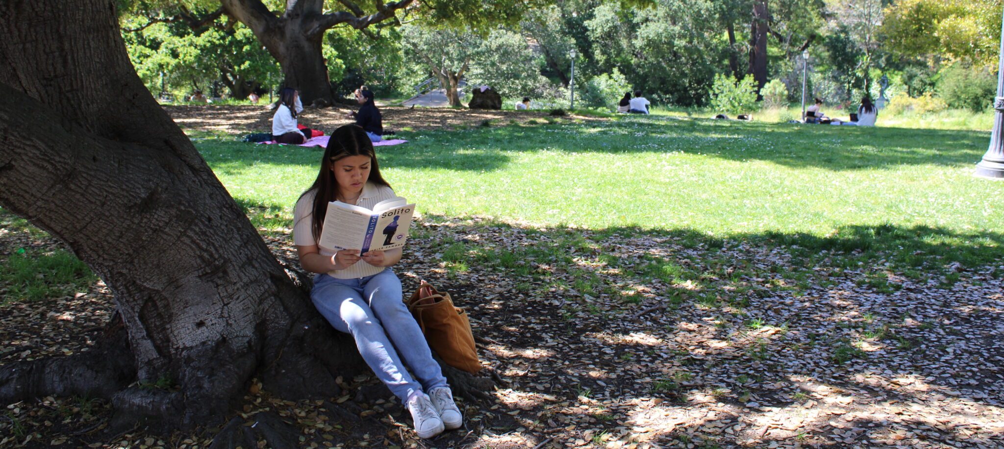 Girl reads Solito while sitting on a tree