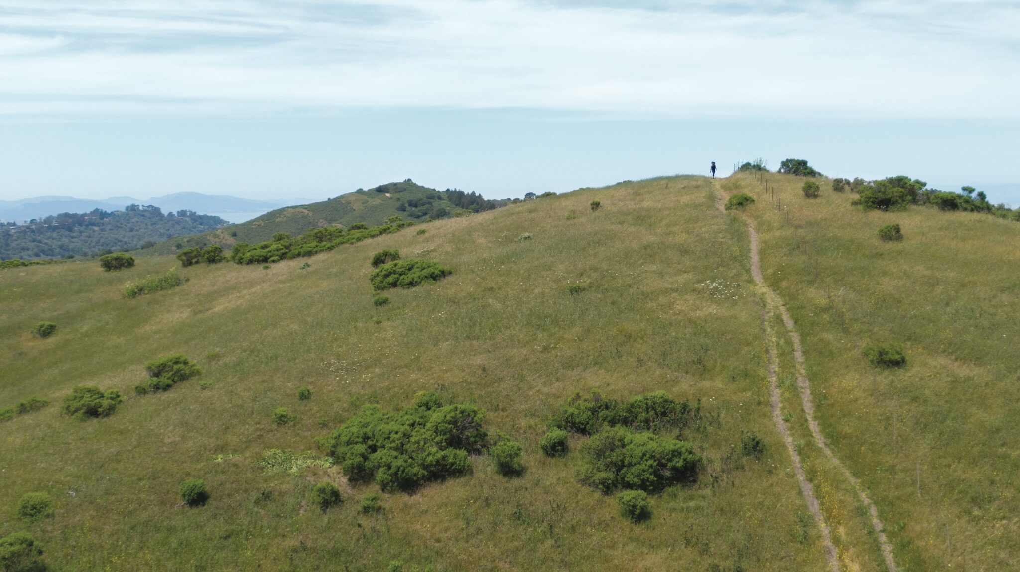 A hiking path goes up a hill
