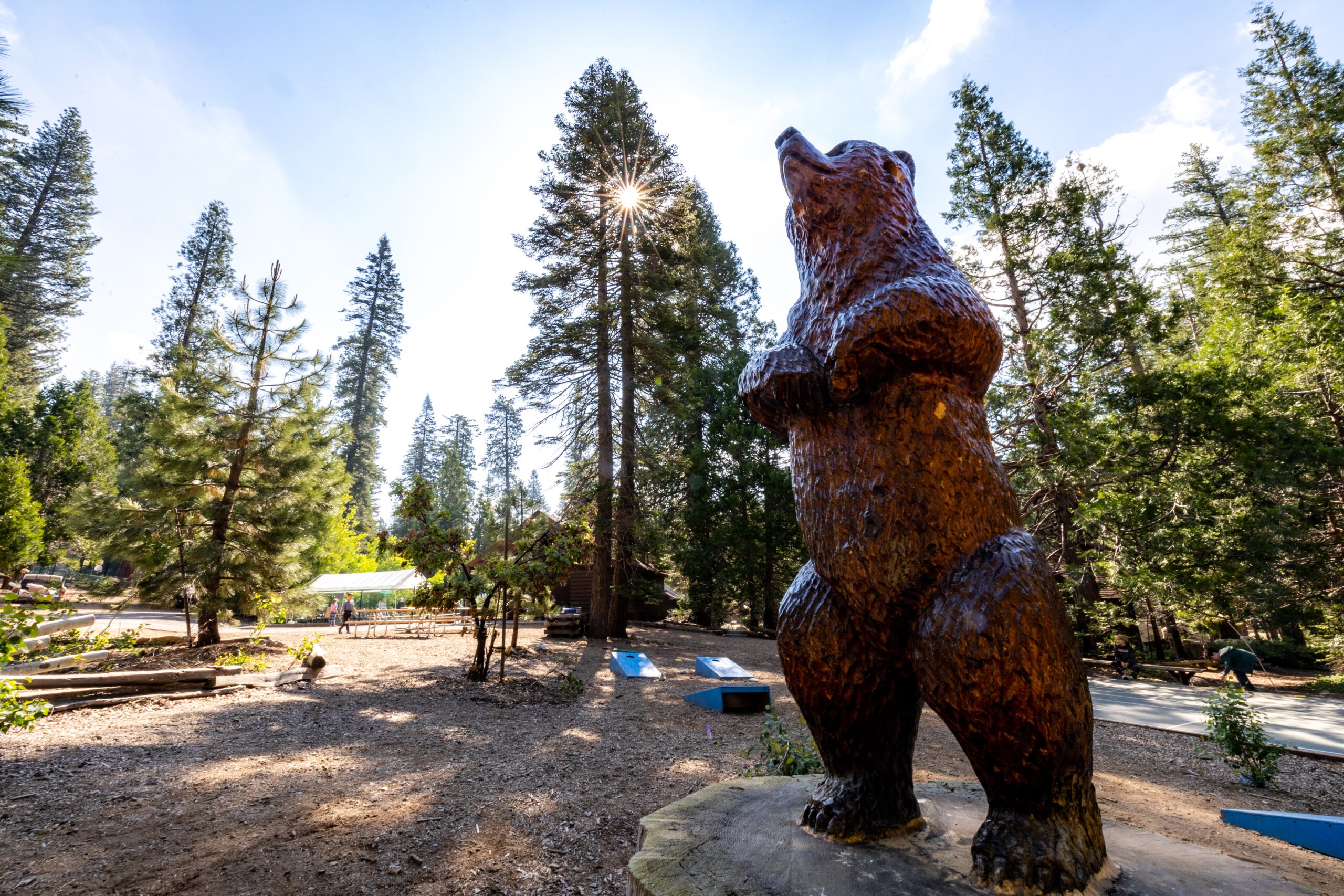 a bear statue looking up with pine trees behind it