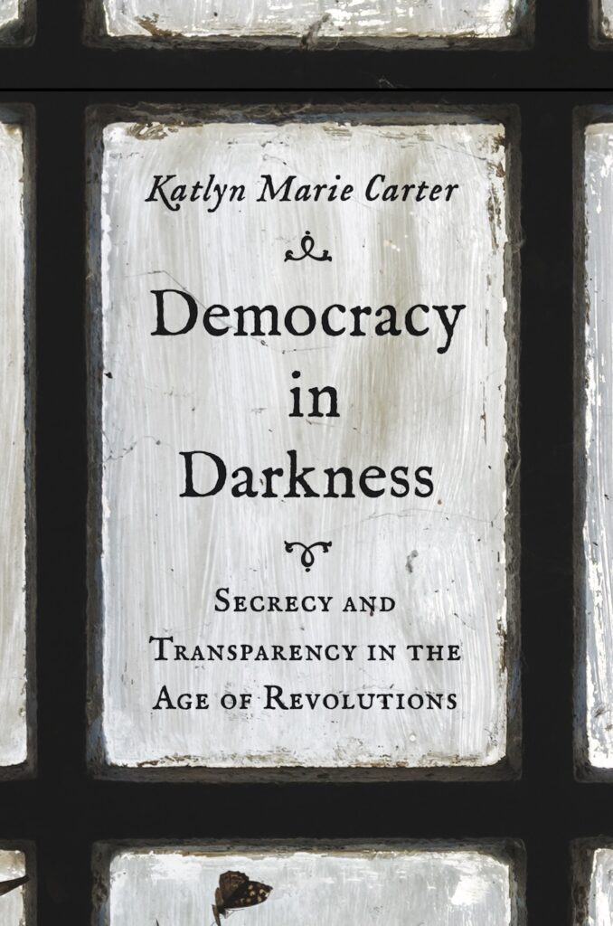 Democracy in Darkness book cover