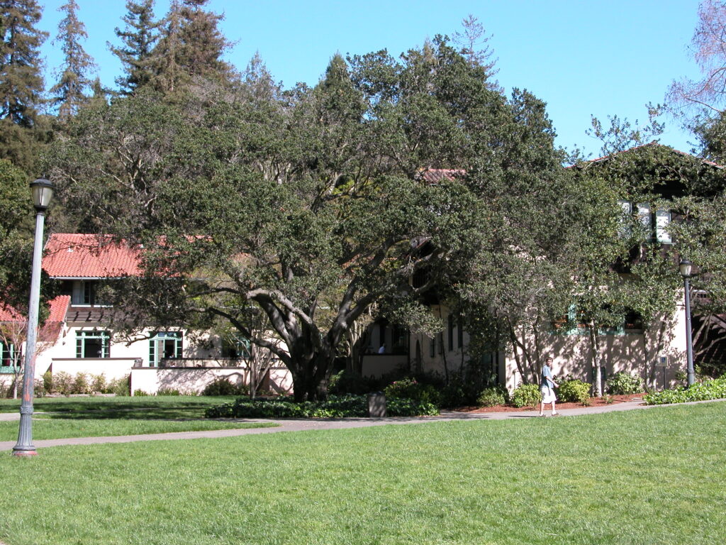 A view of Faculty Glade with Faculty Club behind it. 