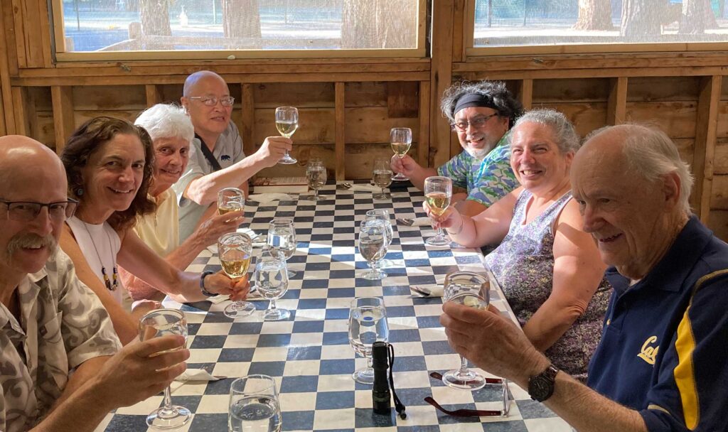 group of people toast with wine glasses