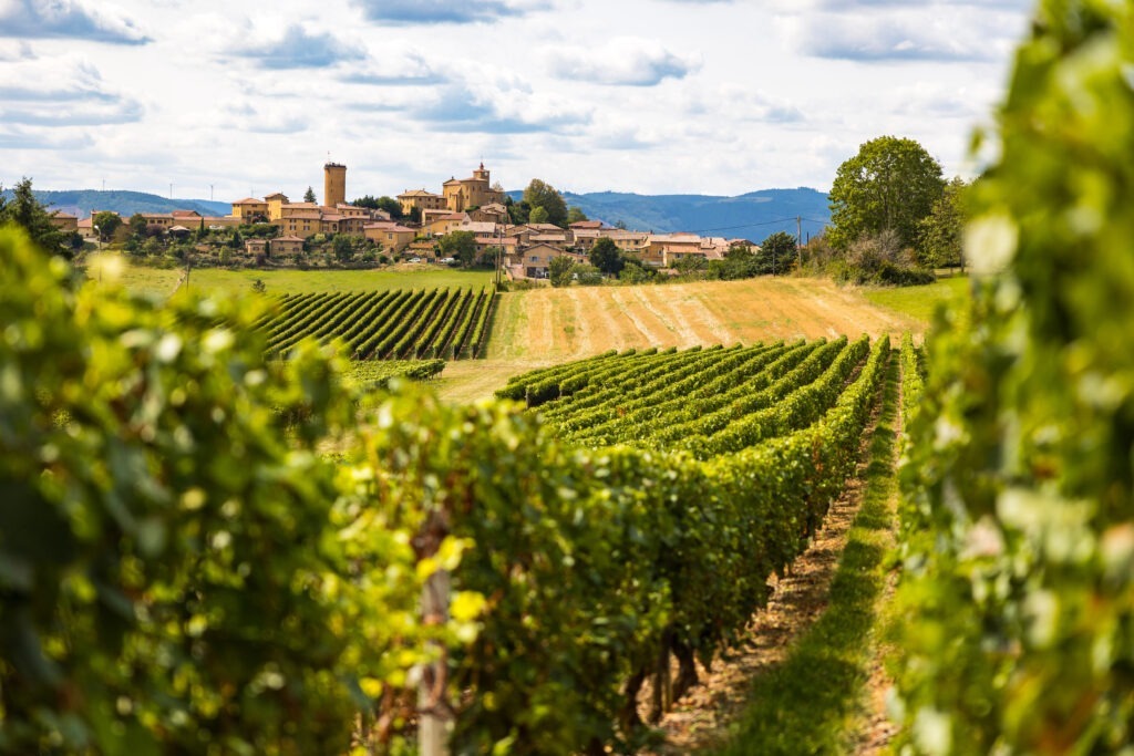 Medieval village and vineyards of Beaujolais